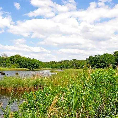 Résidence Néméa Les Rives De Saint Brice Ares
